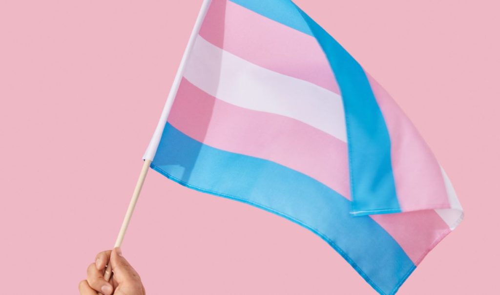 Resultado de imagem para transgênero bandeira