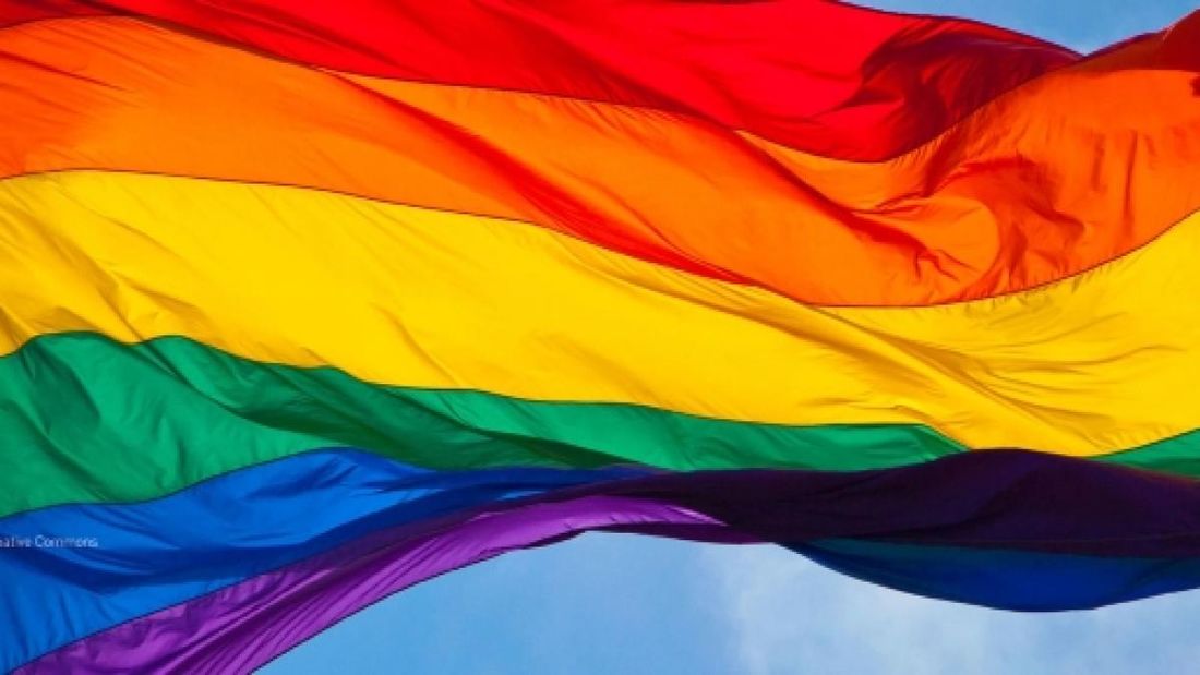 Repense anuncia parceria com a Câmara LGBT